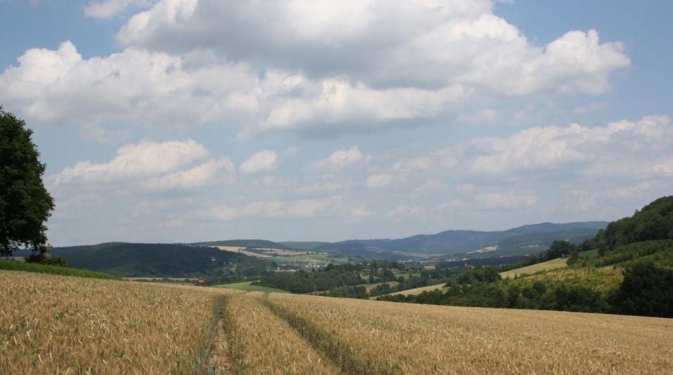 Ausblick auf das Wesertal