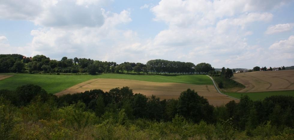 Rittergut und Vorwerk