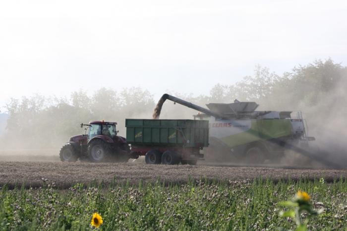 Getreideernte im August