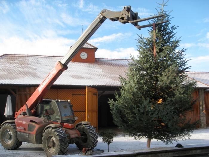 Weihnachtsbaum im Innenhof