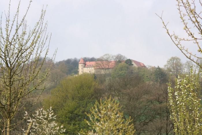 Obstbluete am Rittergut Sonnenberg