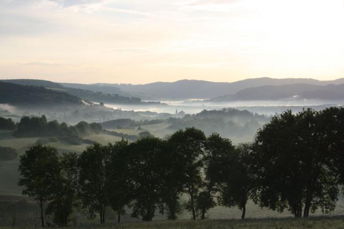 Das Wesertal bei Polle im Morgennebel
