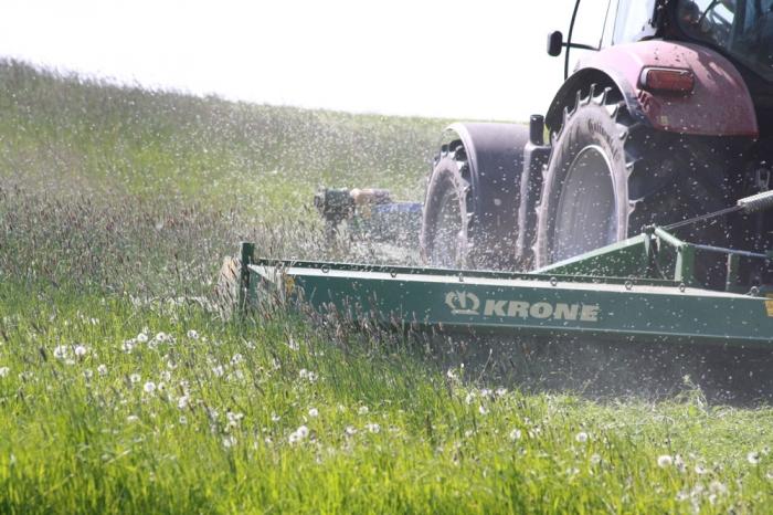 Grasmaehen für den 1. Schnitt