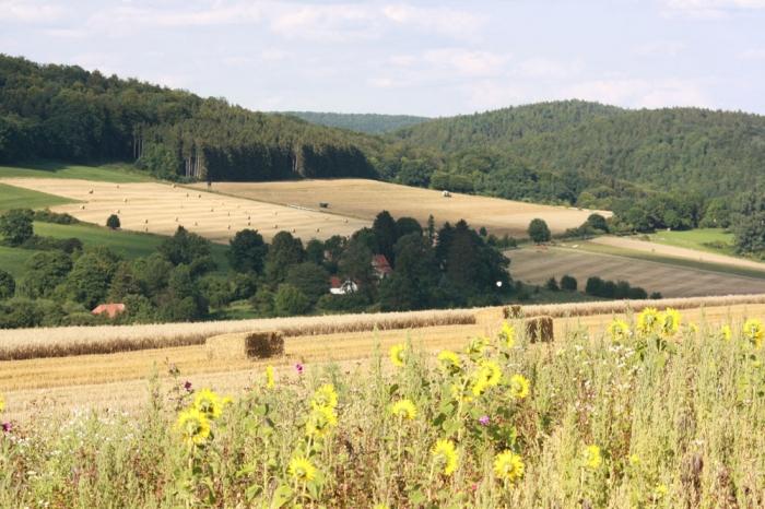 Strohballen auf den Feldern