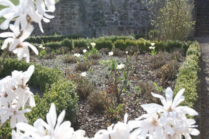 Der Garten blüht auf