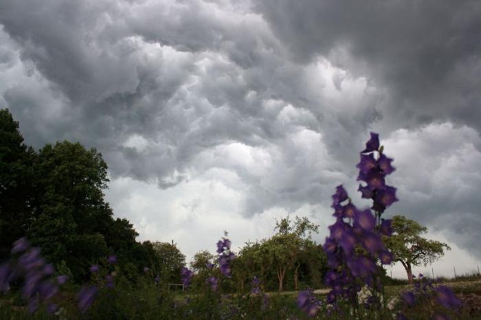 Sommergewitter im Juli