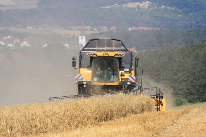 Getreideernte am Rittergut Sonnenberg