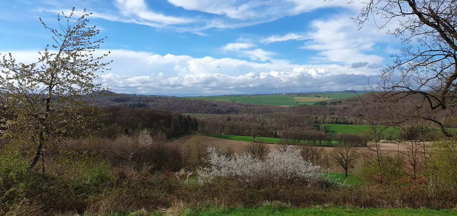 Frühlingsblick über Teiche und Felder in der Umgebung
