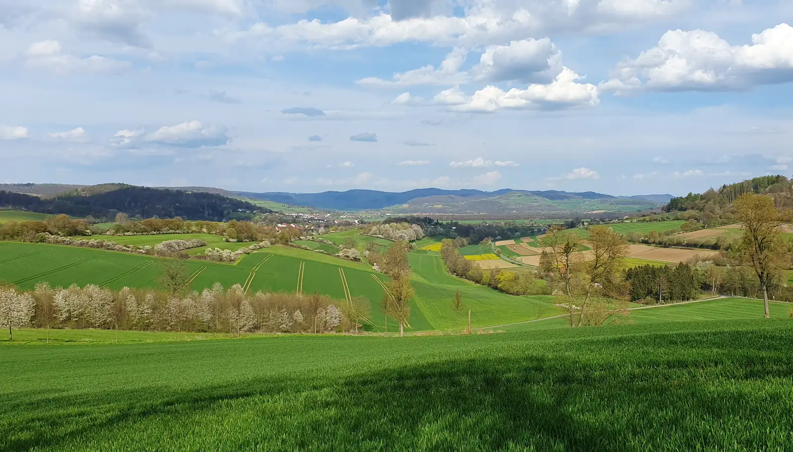 Blick über grüne Hügel und Felder bei Sonnenberg