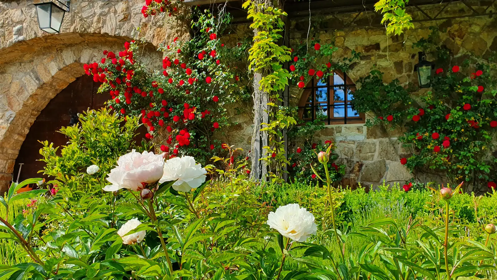 Blühende Rosen vor der Natursteinfassade des Ritterguts