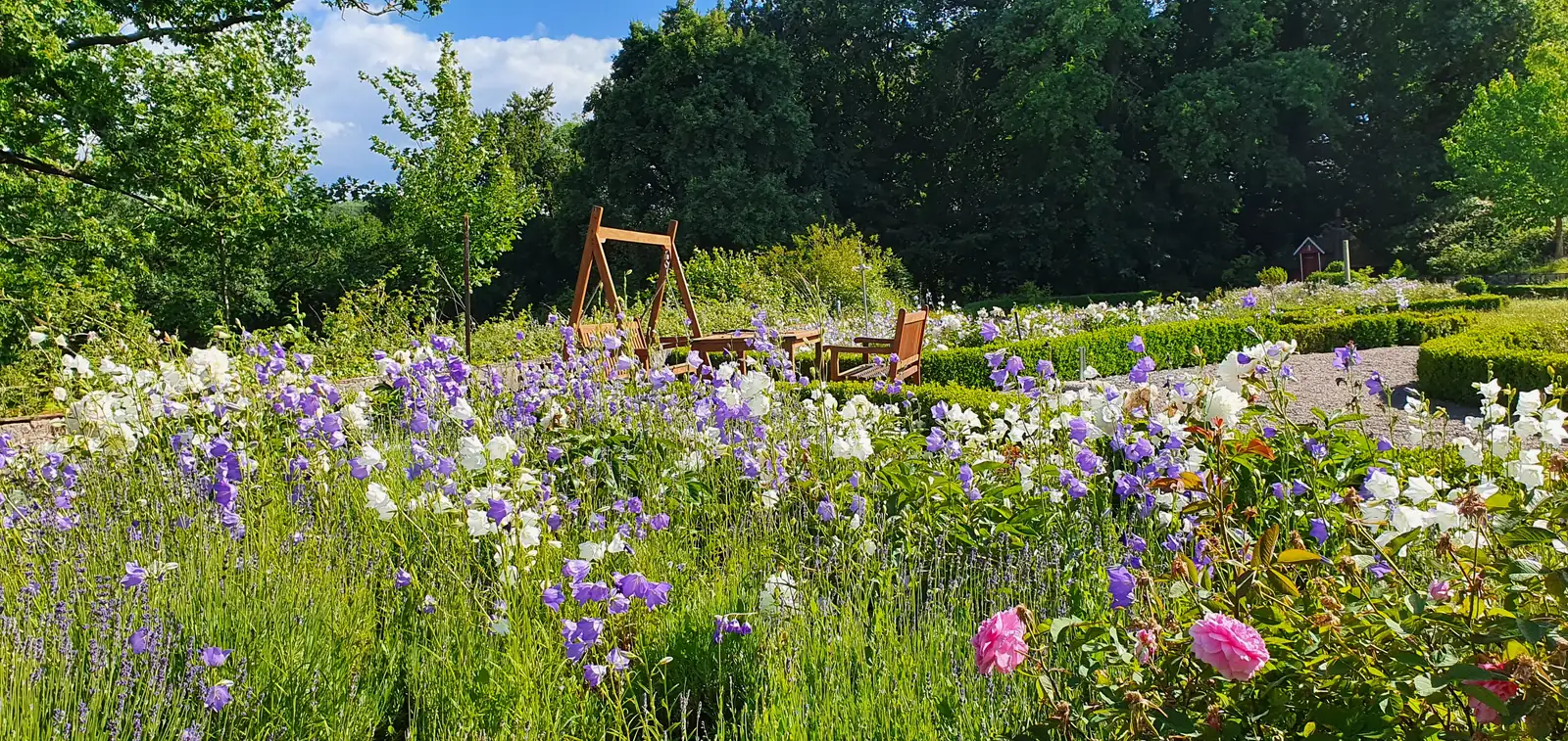 Blumenwiese im Garten des Ritterguts Sonnenberg