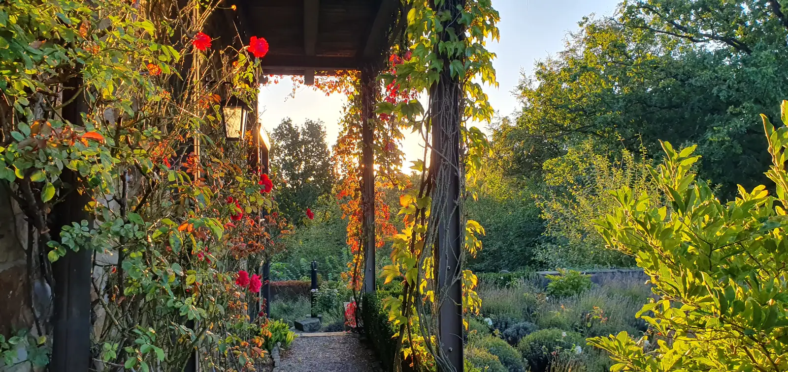 Herbstlicher Garten mit bewachsenem Laubengang