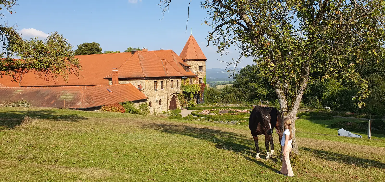 Kuh auf der Weide am Rittergut Sonnenberg