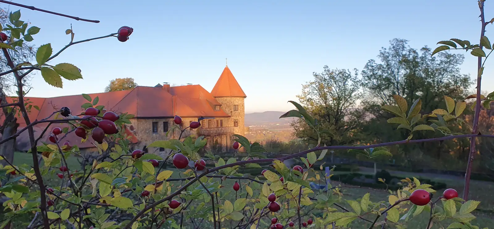 Hagebutten vor dem Rittergut Sonnenberg in der Abendsonne