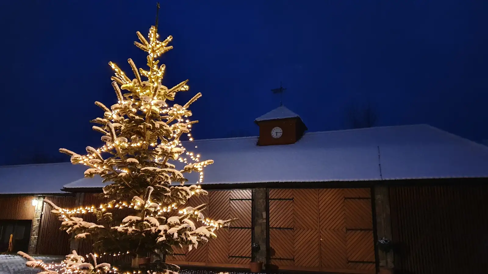 Beleuchteter Weihnachtsbaum im verschneiten Innenhof
