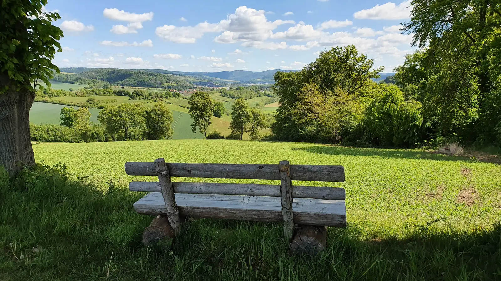 Aussichtsbank mit Blick über die Landschaft