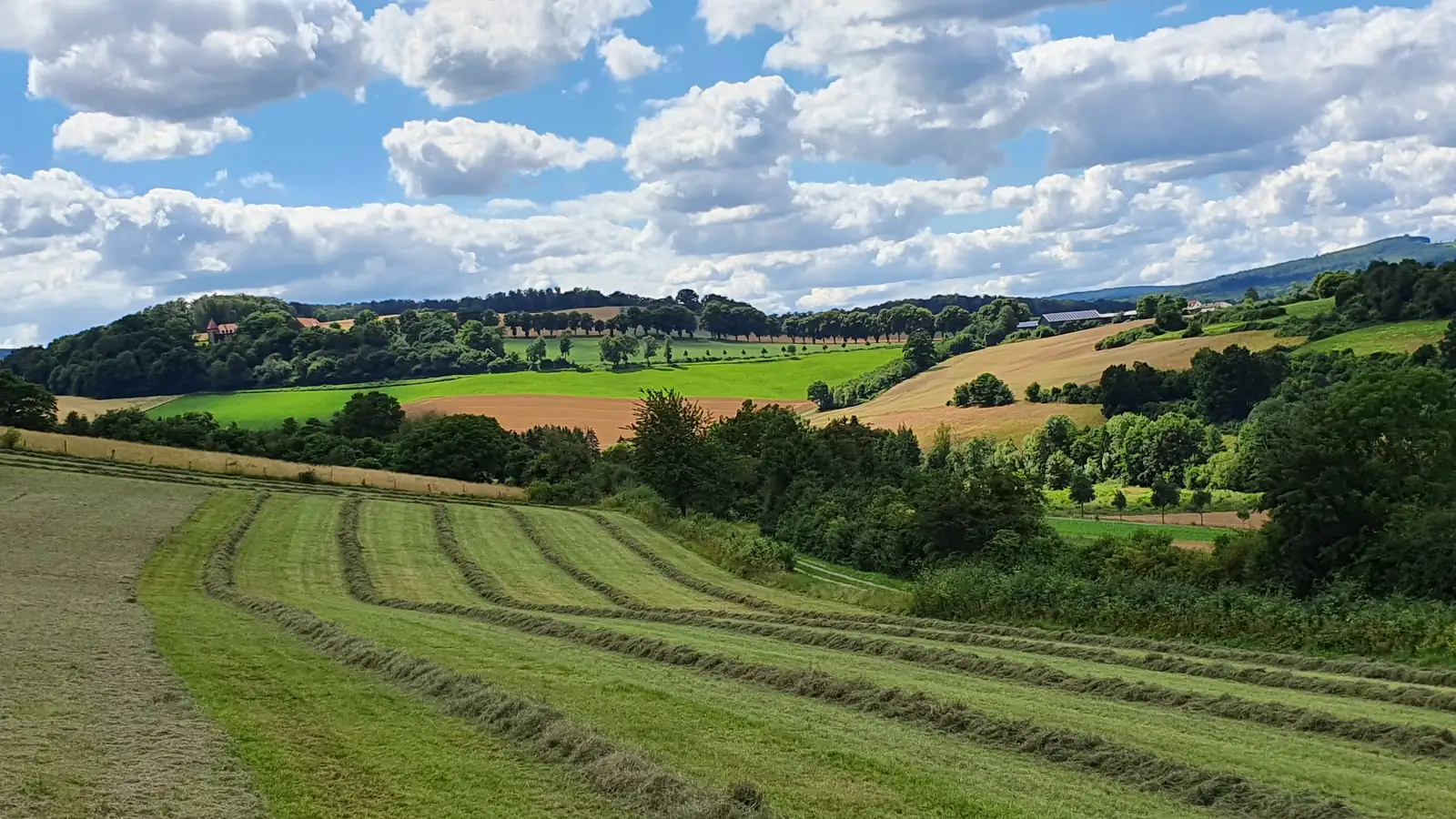 Gemähte Wiesen und Felder in der Umgebung