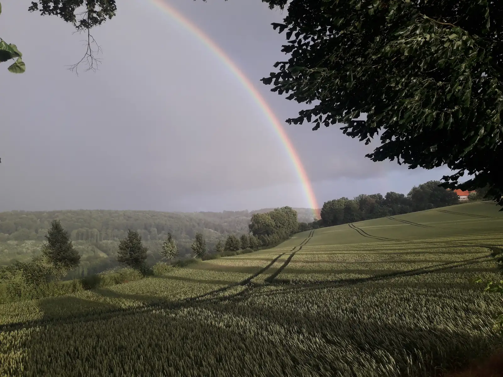 Regenbogen über den Feldern bei Sonnenberg